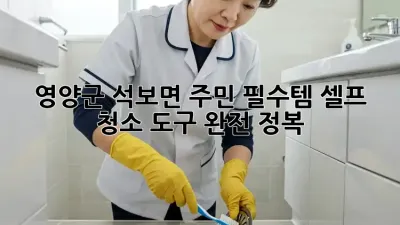 ✨ 영양군 석보면 주민 필수템! 셀프 청소 도구 완전 정복 🧹