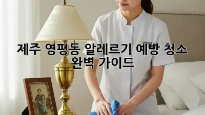 제주 영평동 알레르기 예방 청소 완벽 가이드